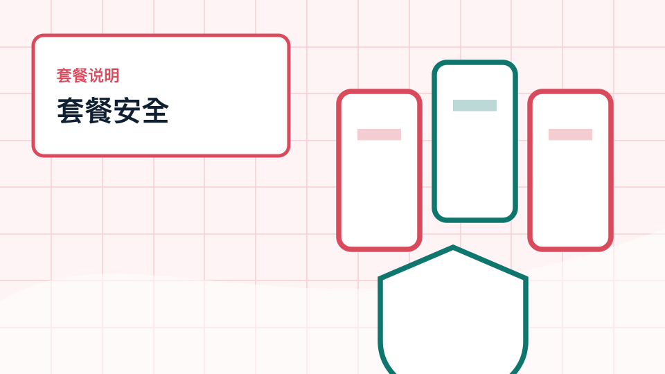 套餐周期、设备数量和安全提示:SSRdog 选择前要看哪些信息配图